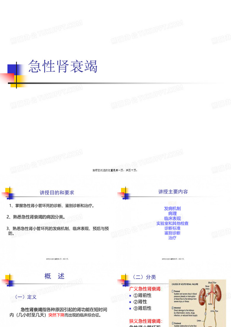 急性肾衰竭 (2)