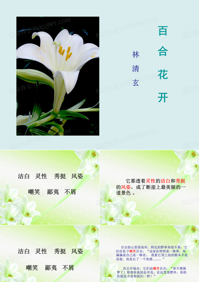 百合花开.ppt