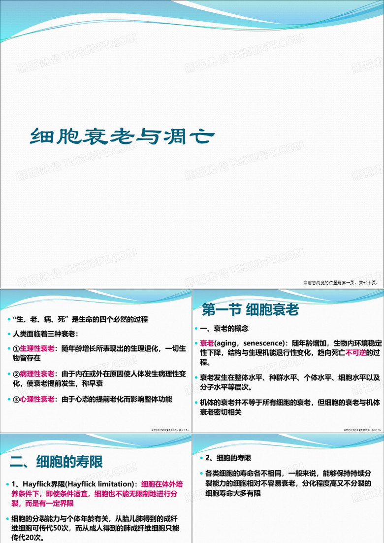 细胞衰老与凋亡