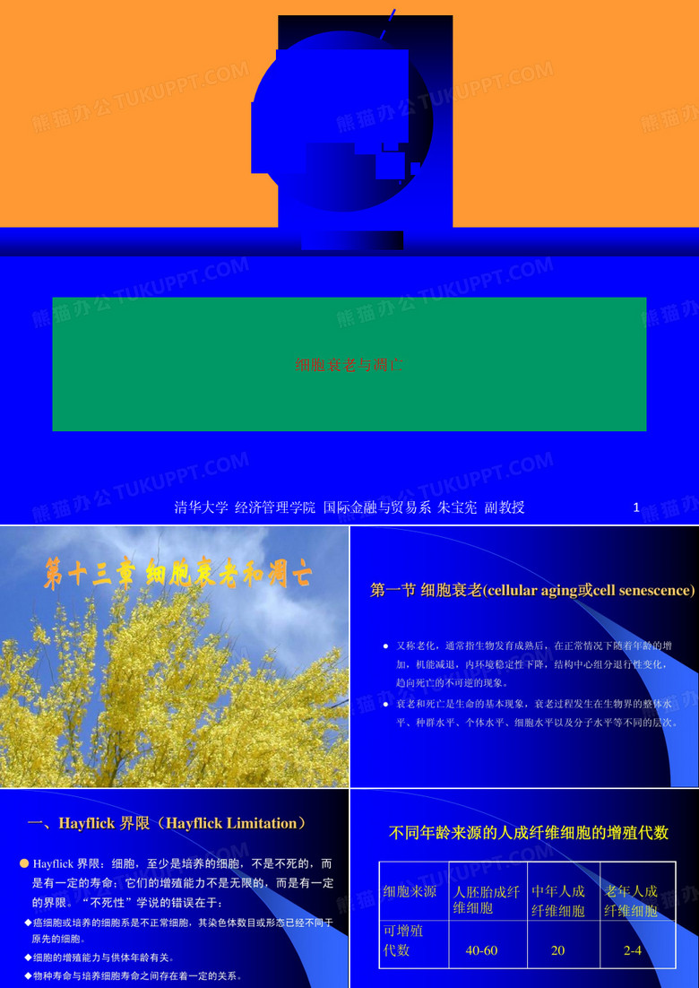 细胞衰老与凋亡