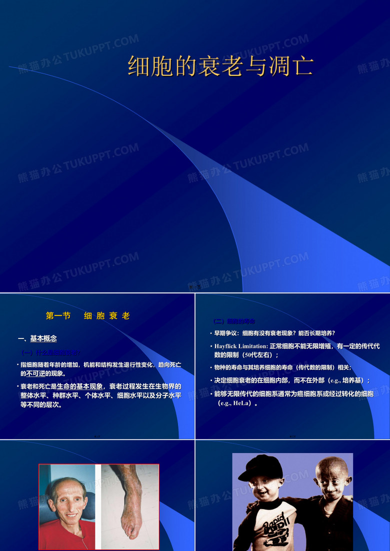 细胞的衰老与凋亡