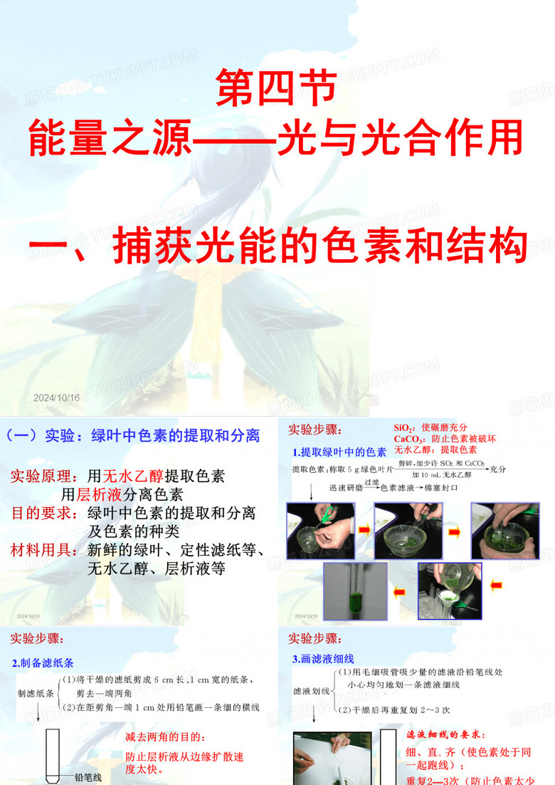 光与光合作用