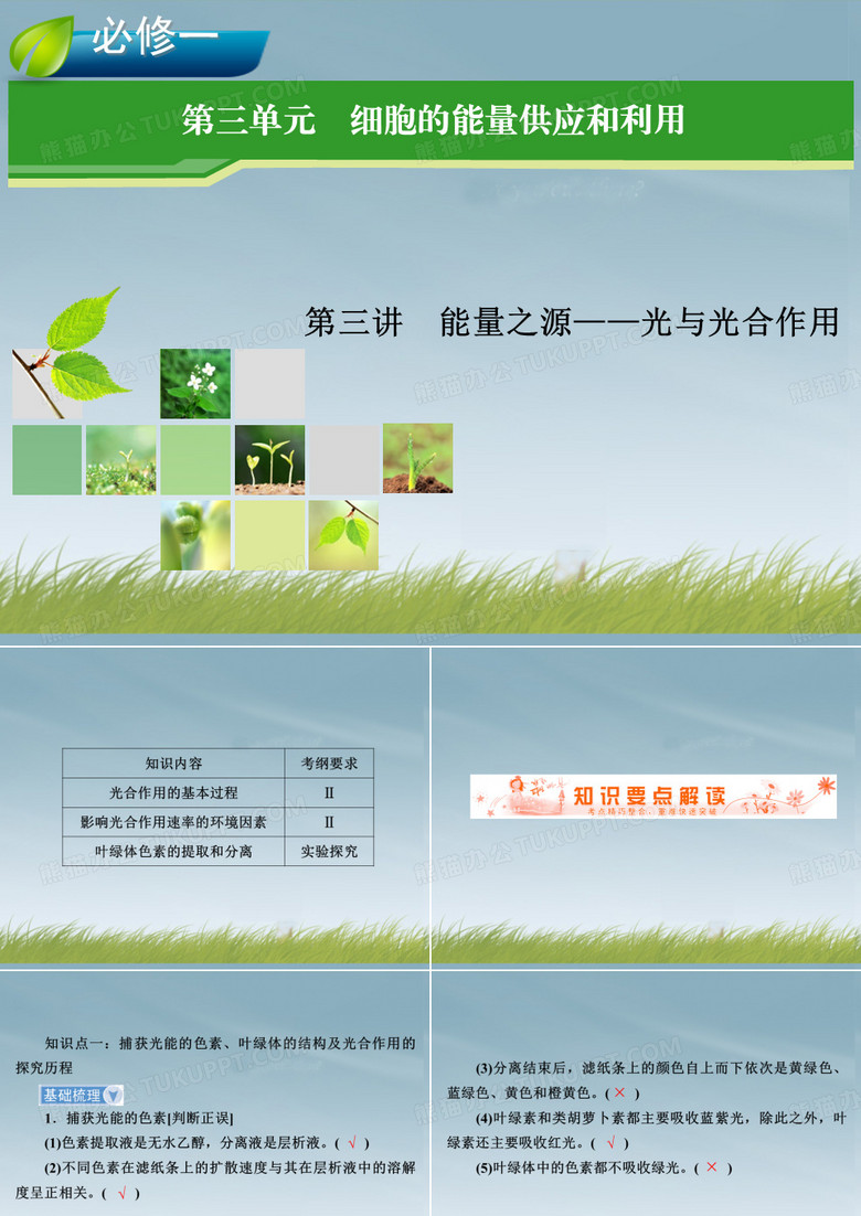 光与光合作用