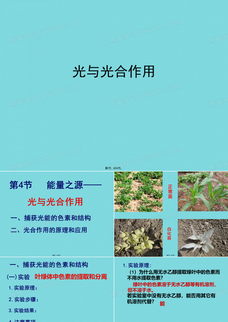 光与光合作用(介绍：光合作用)共58张