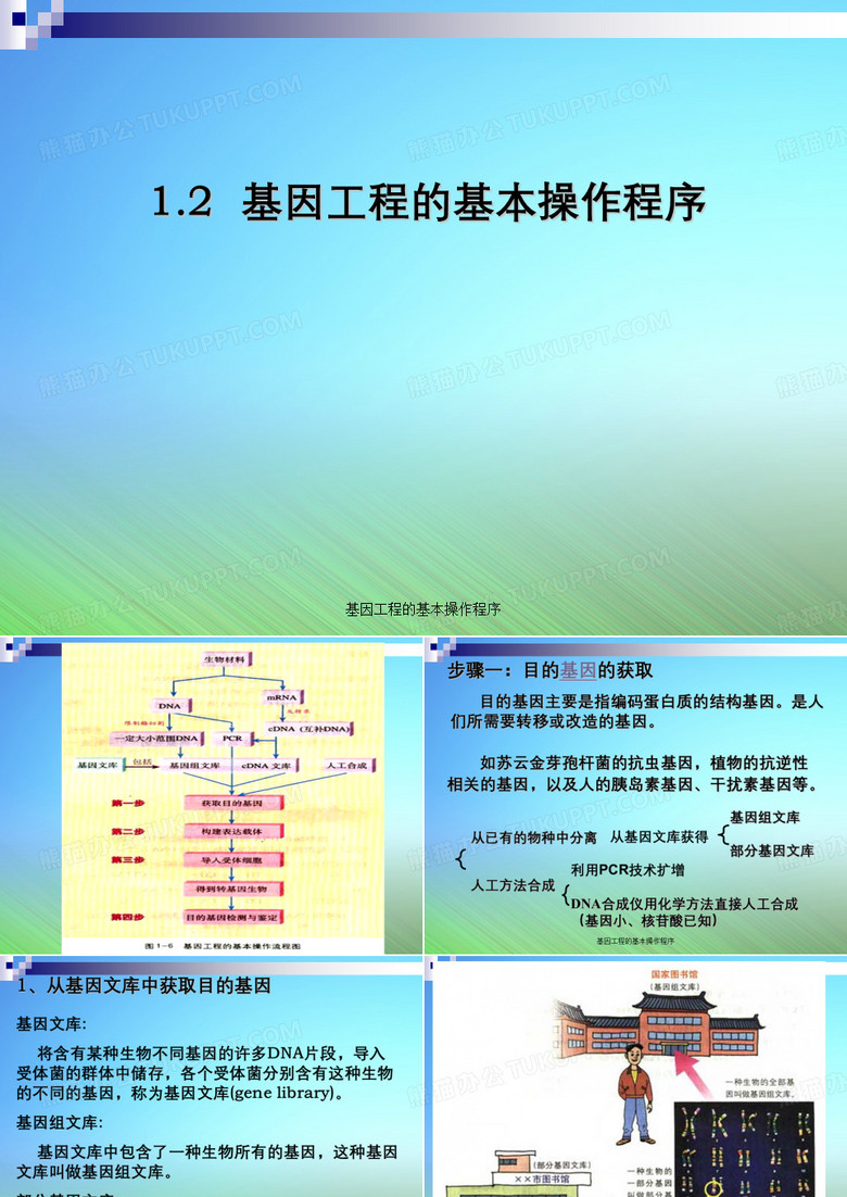 基因工程的基本操作程序