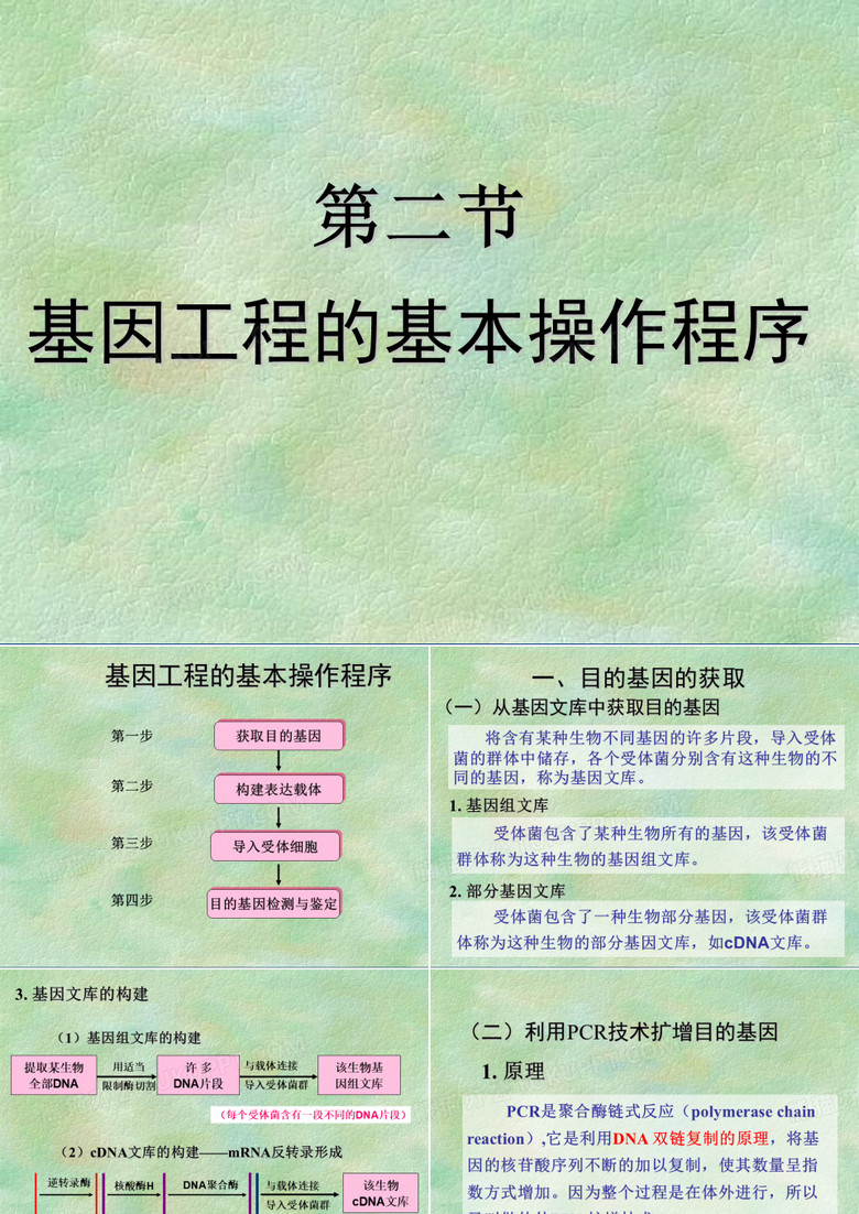 基因工程的基本操作程序