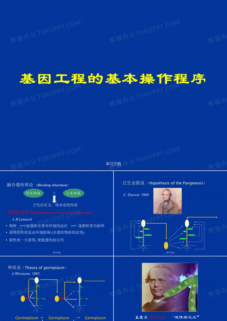 基因工程的基本操作程序