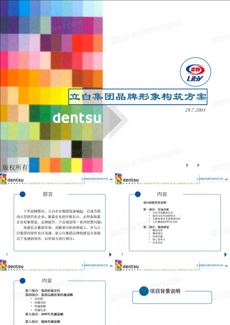 立白品牌建设方案