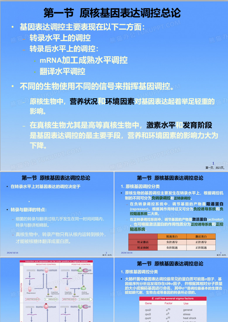 乳糖操纵子