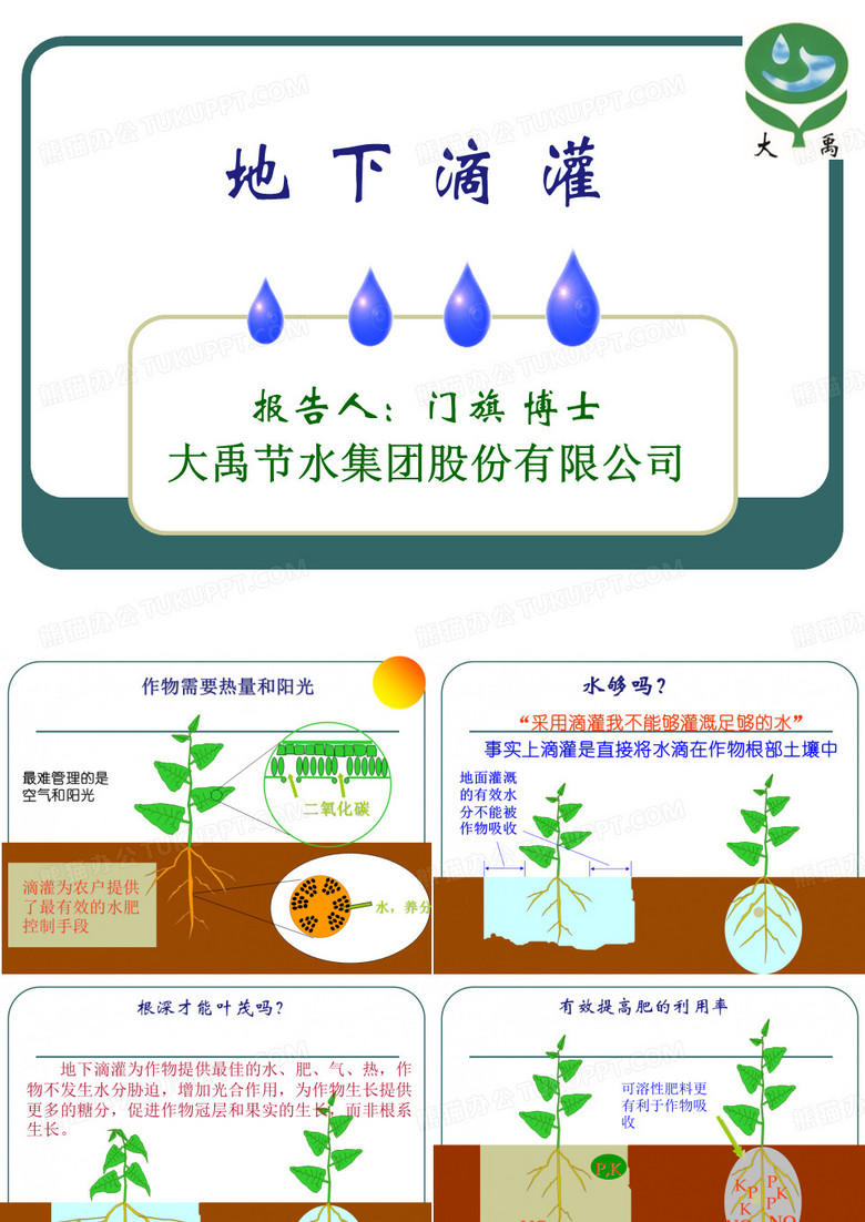 地下滴灌介绍