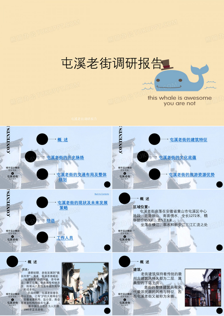 屯溪老街调研报告