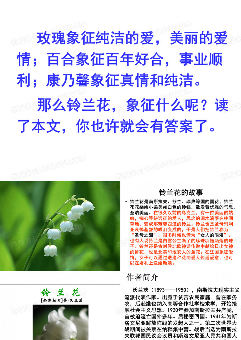 铃兰花PPT14