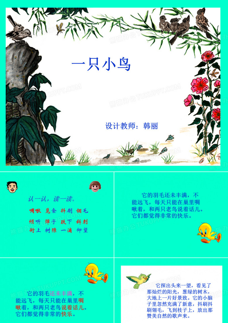 一只小鸟