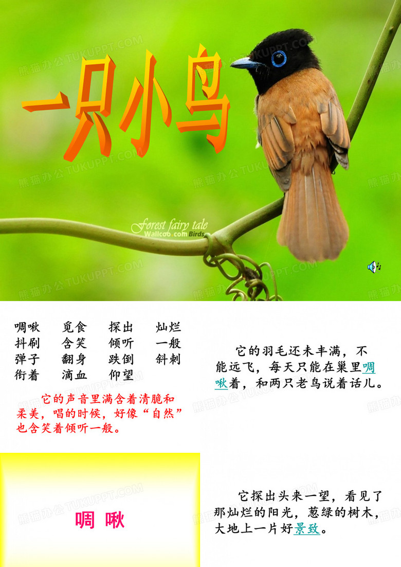 《一只小鸟》ppt