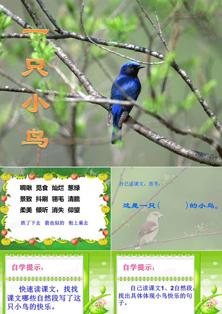 《一只小鸟》PPT课件