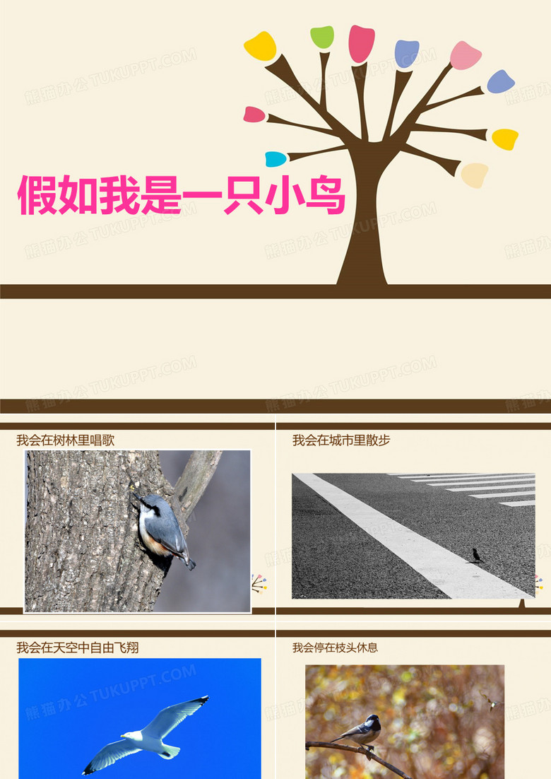 假如我是一只小鸟