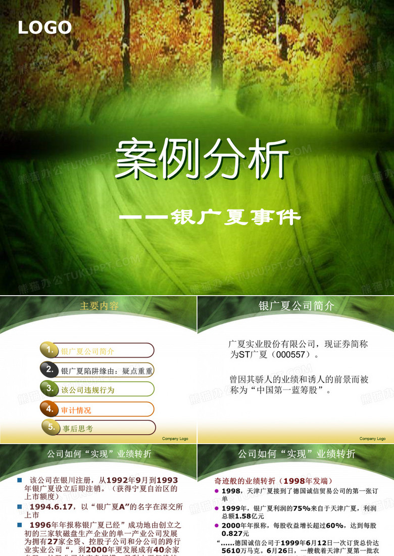 审计学案例分析PPT