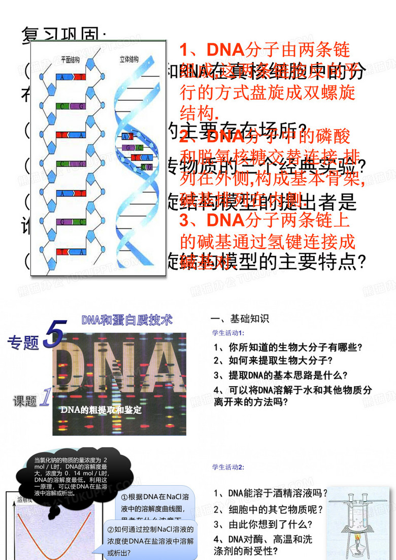 DNA的粗提取与鉴定