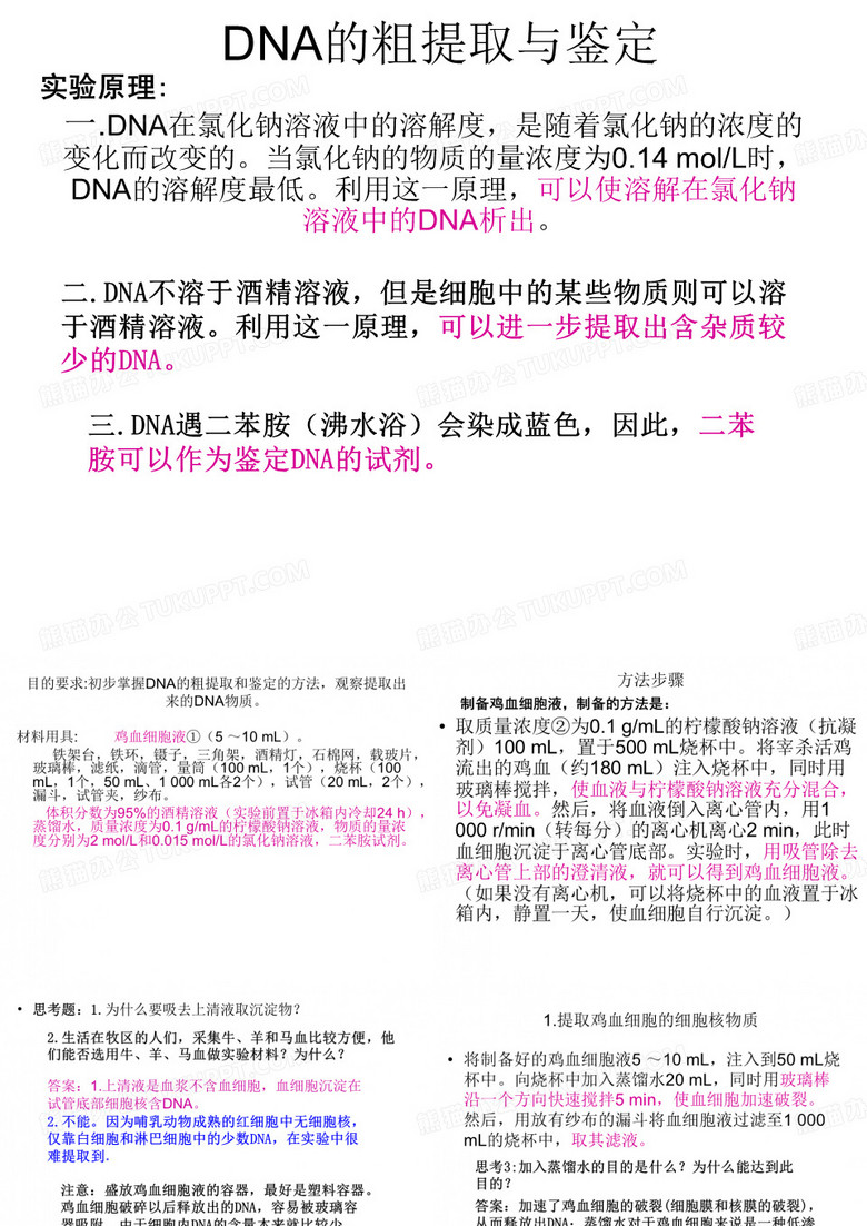 DNA的粗提取与鉴定
