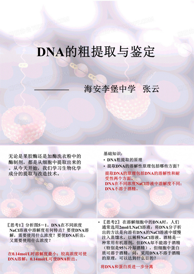 DNA的粗提取与鉴定