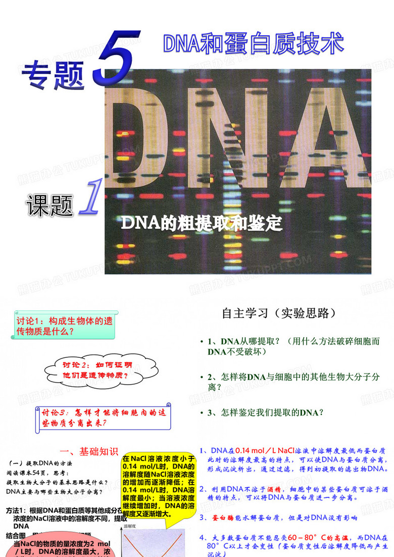 《DNA的粗提取与鉴定》课件