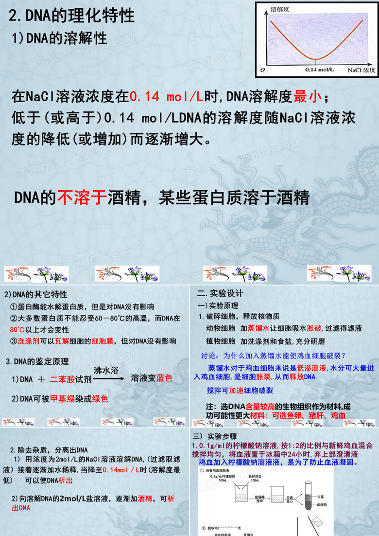 DNA粗提取与鉴定(实验)