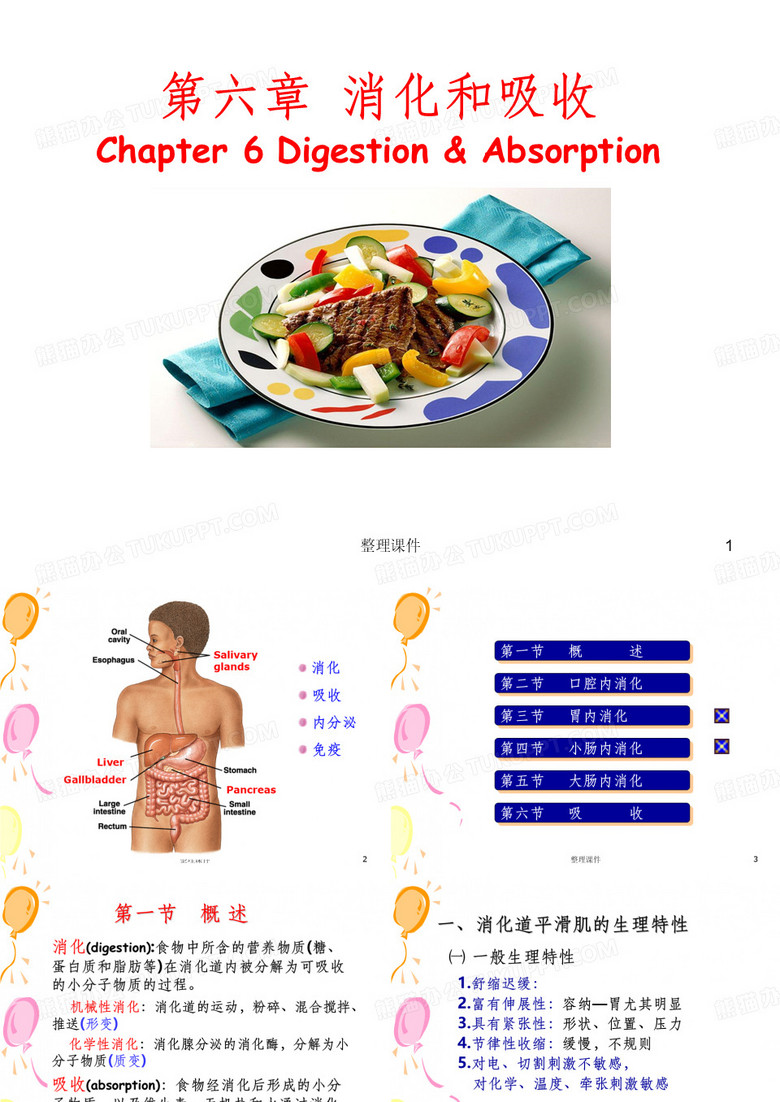 生理学消化与吸收