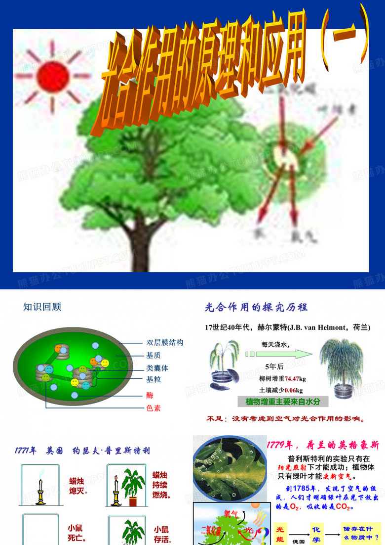 光合作用的原理和应用