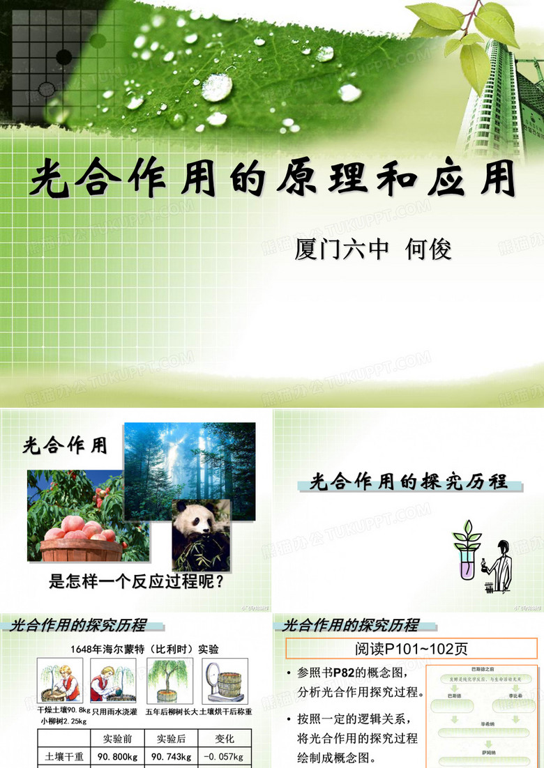 光合作用的原理和应用