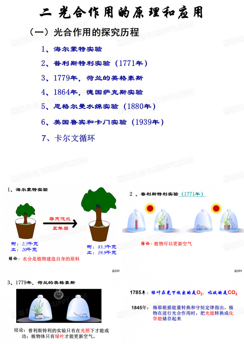 光合作用的原理和应用