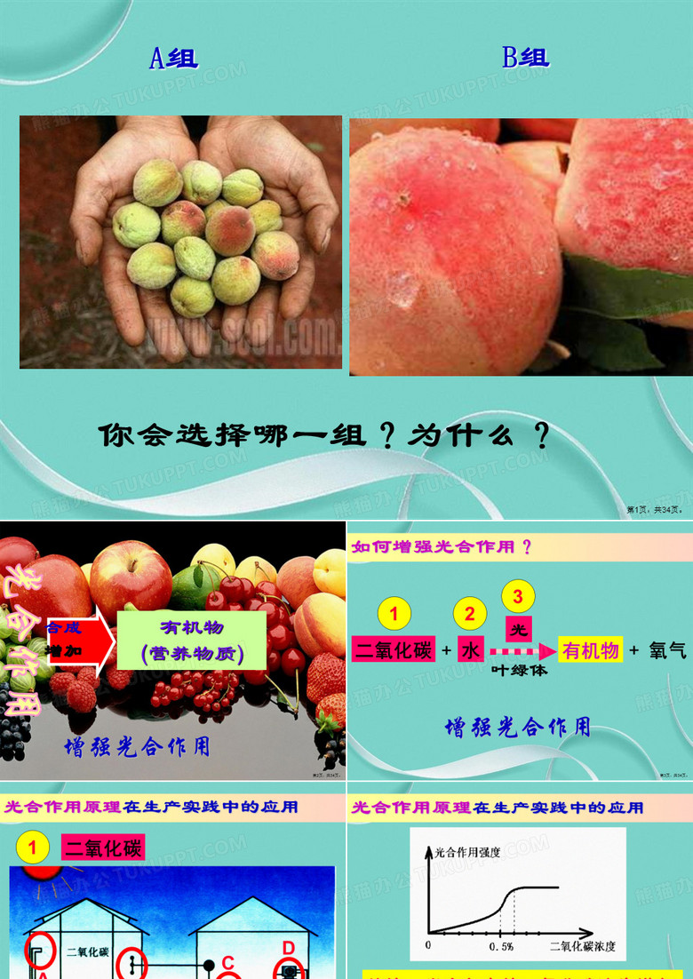 光合作用和呼吸作用原理的应用