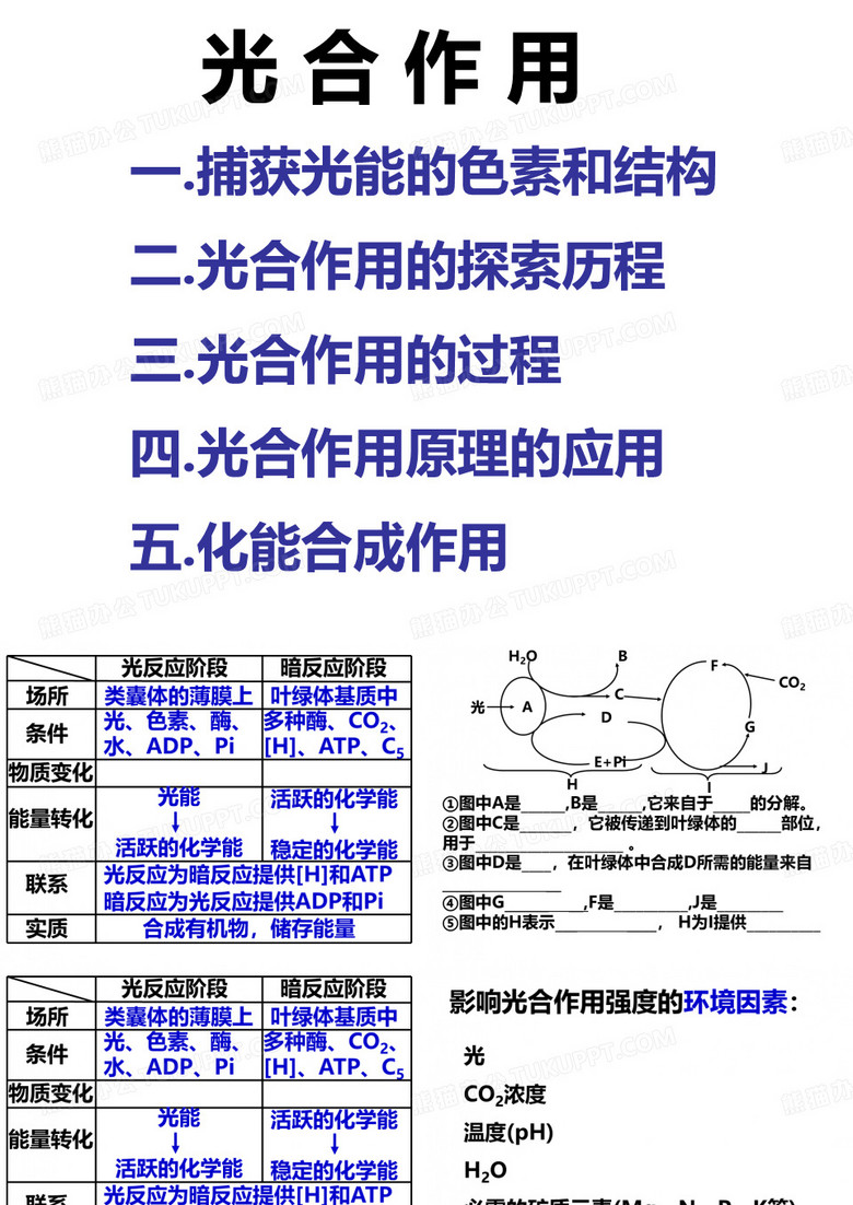 光合作用的原理和应用2