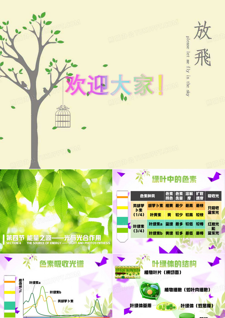 光合作用的原理和应用 PPT
