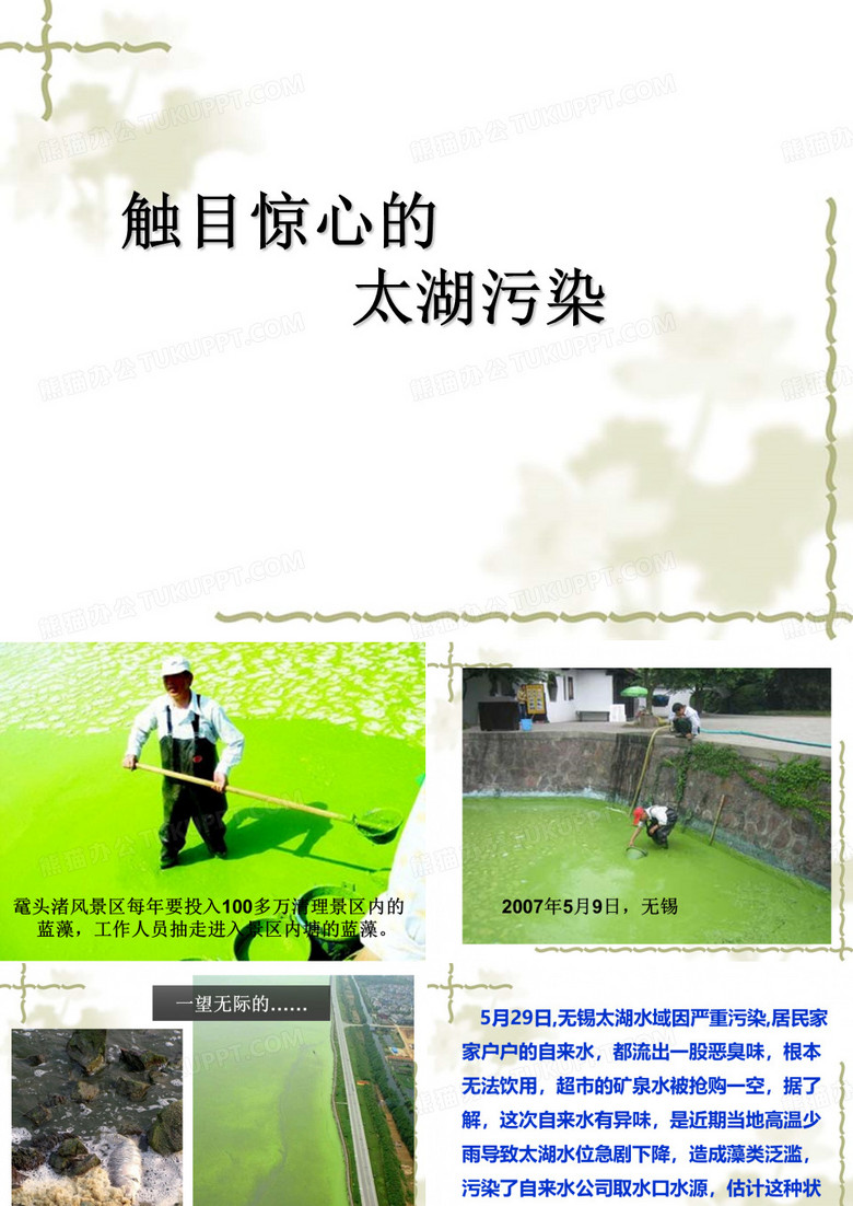 触目惊心的太湖水污染