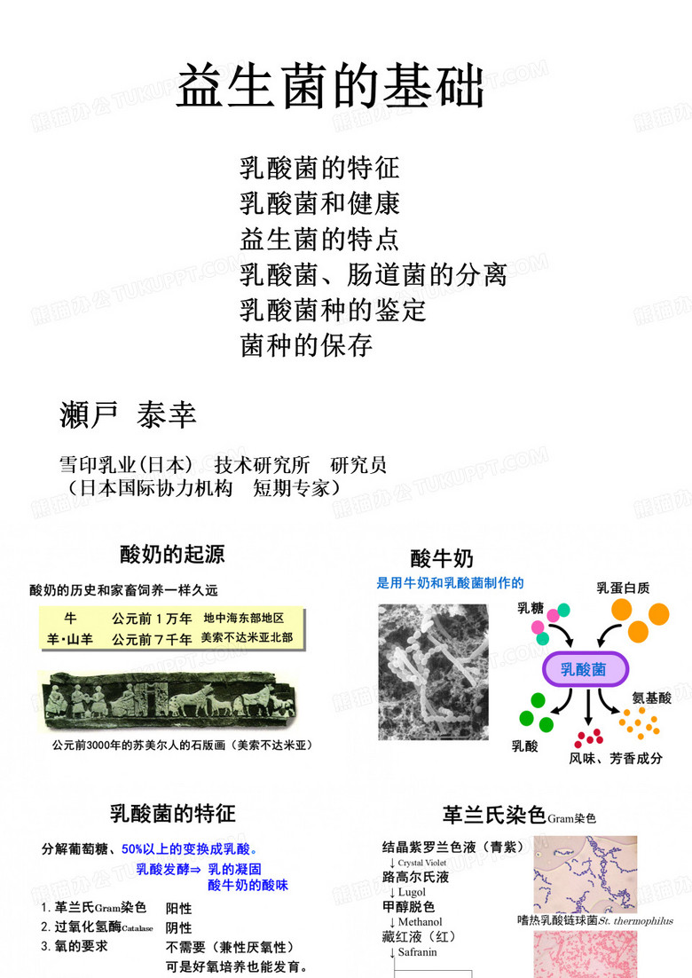 乳酸菌的基础