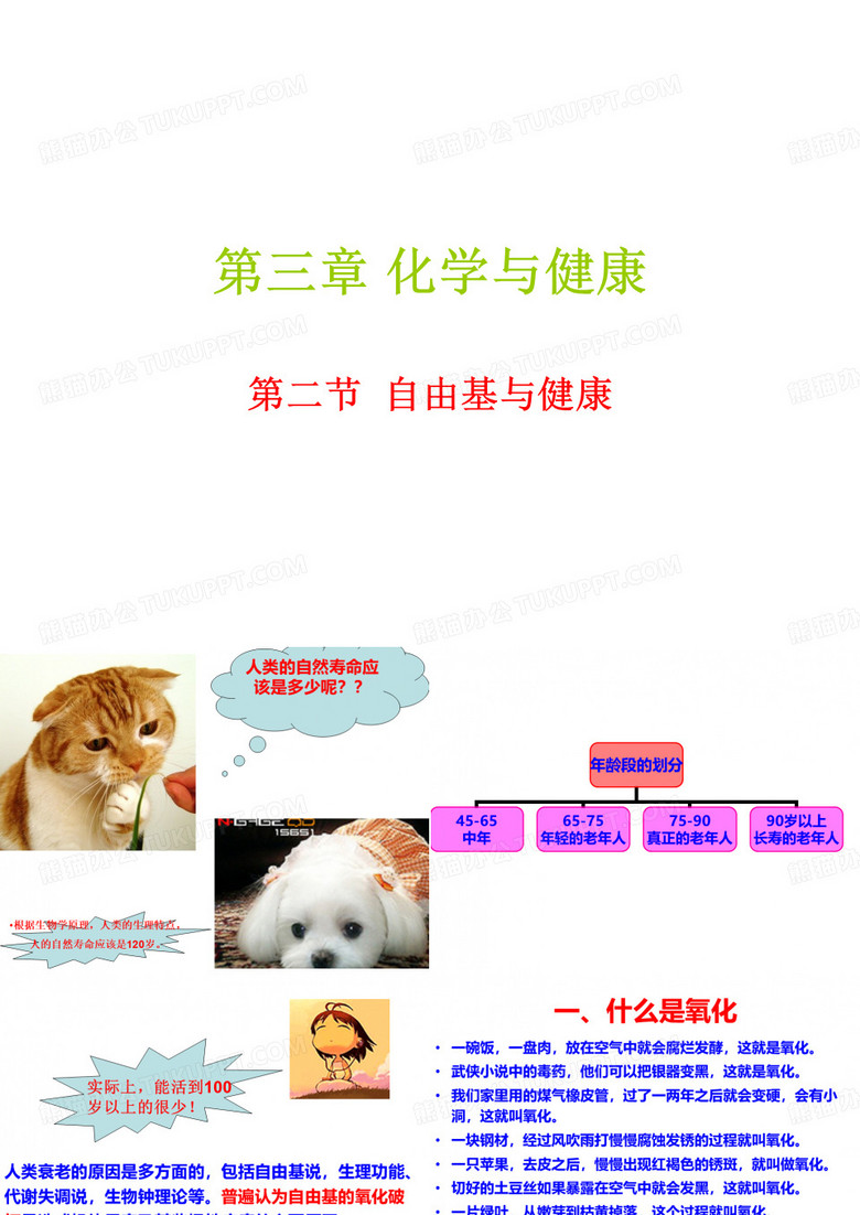 自由基与健康