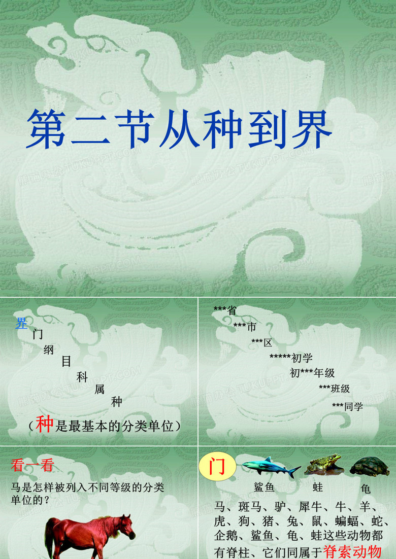 从种到界