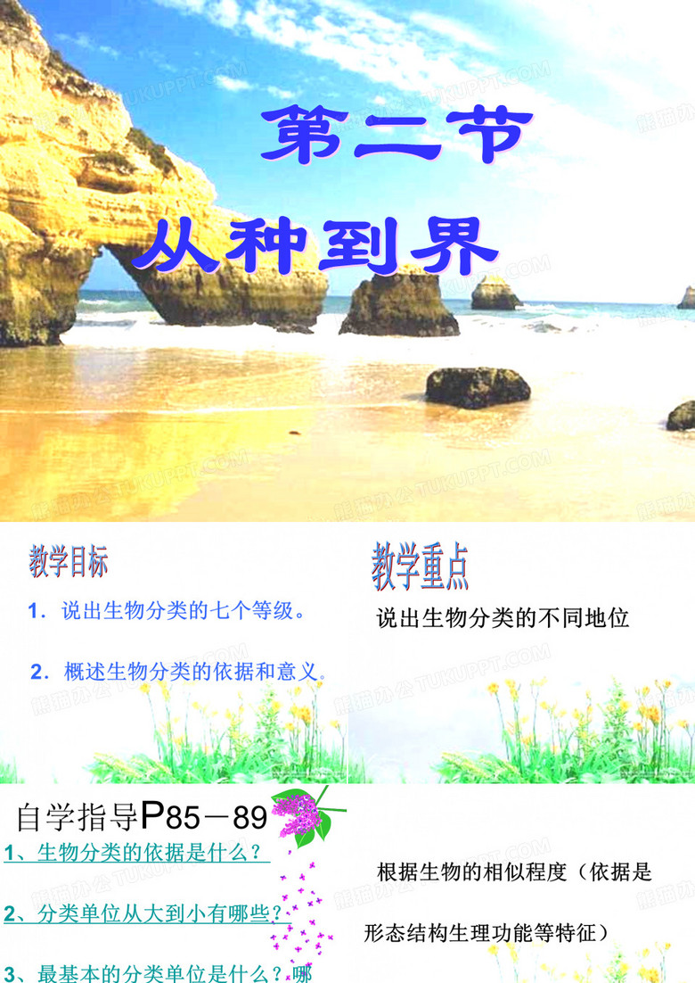 从种到界
