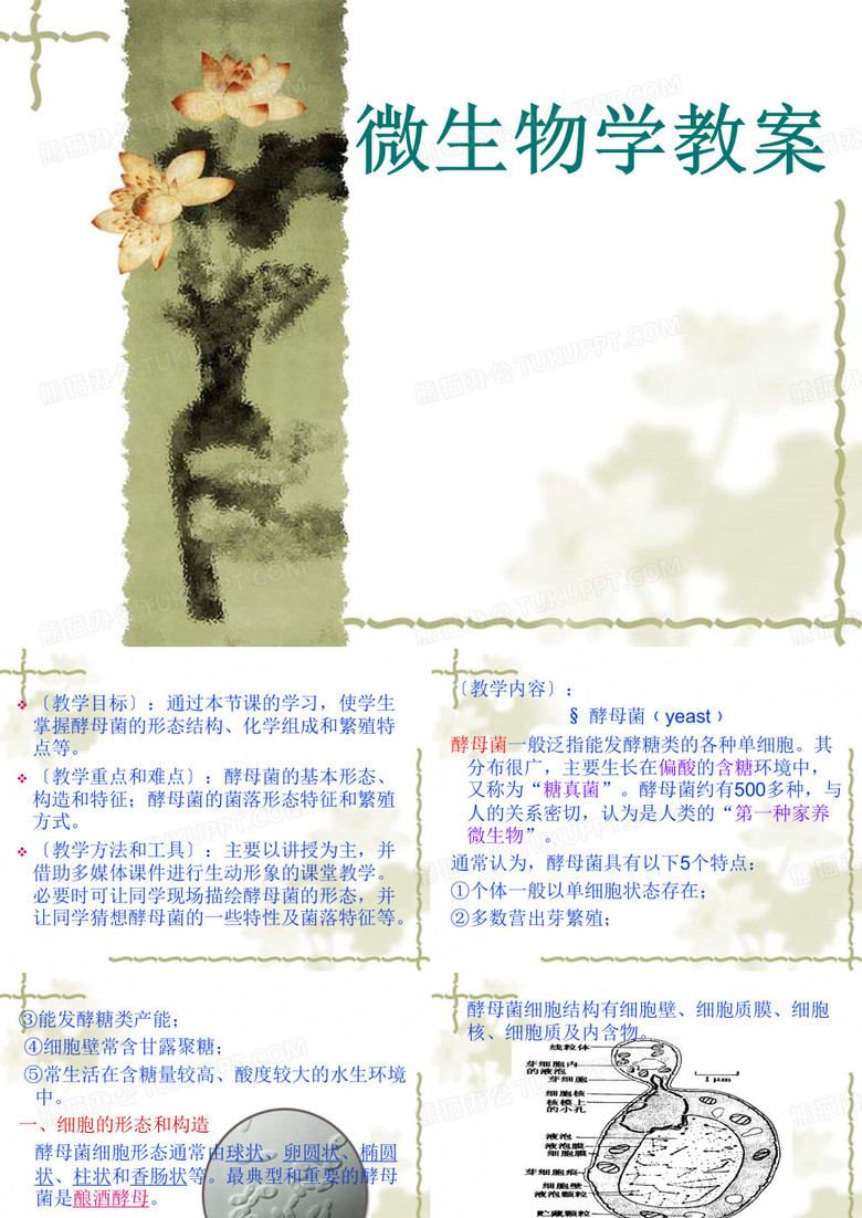 酵母菌