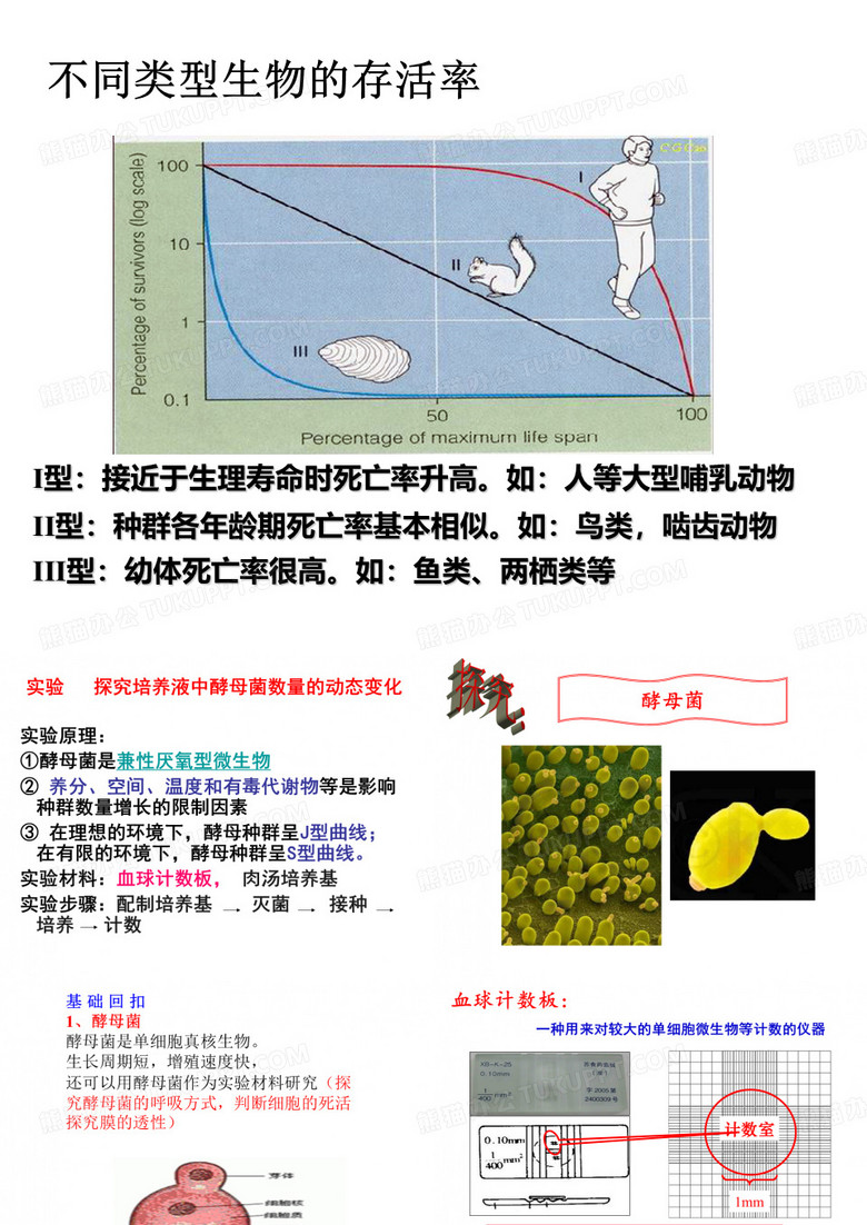 酵母菌培养