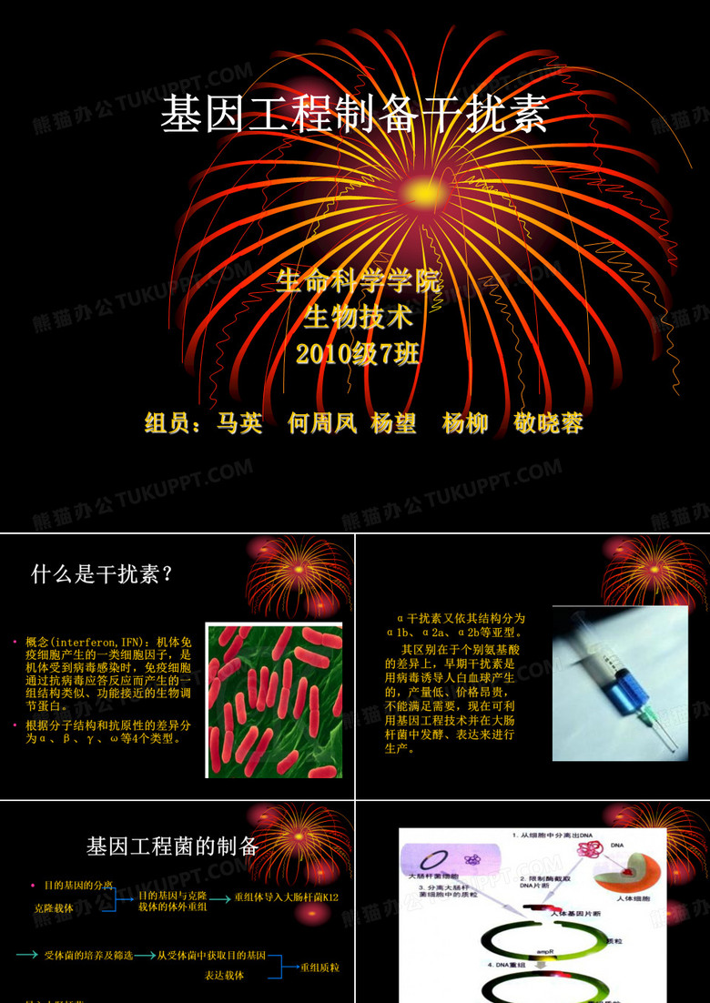 干扰素的制备