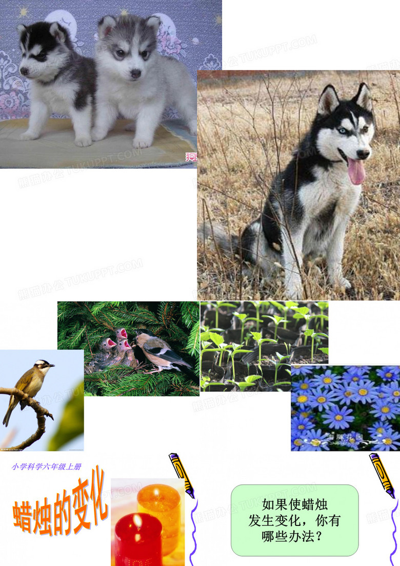 1.蜡烛的变化