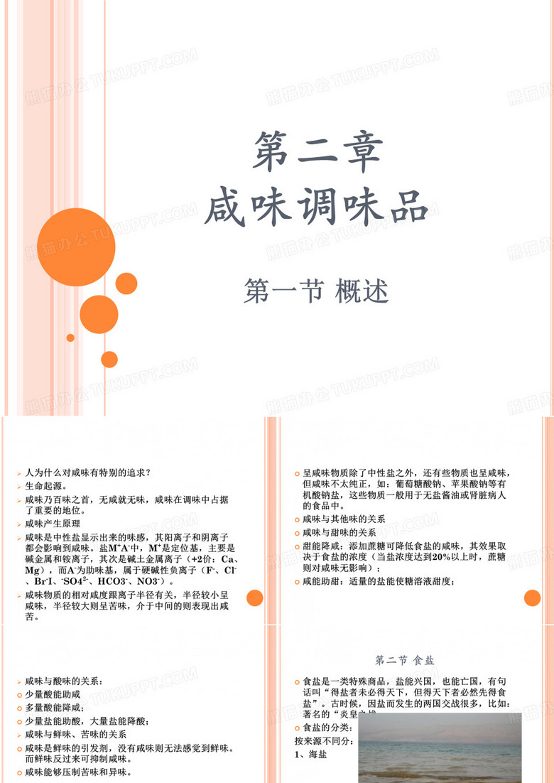 咸味调味品