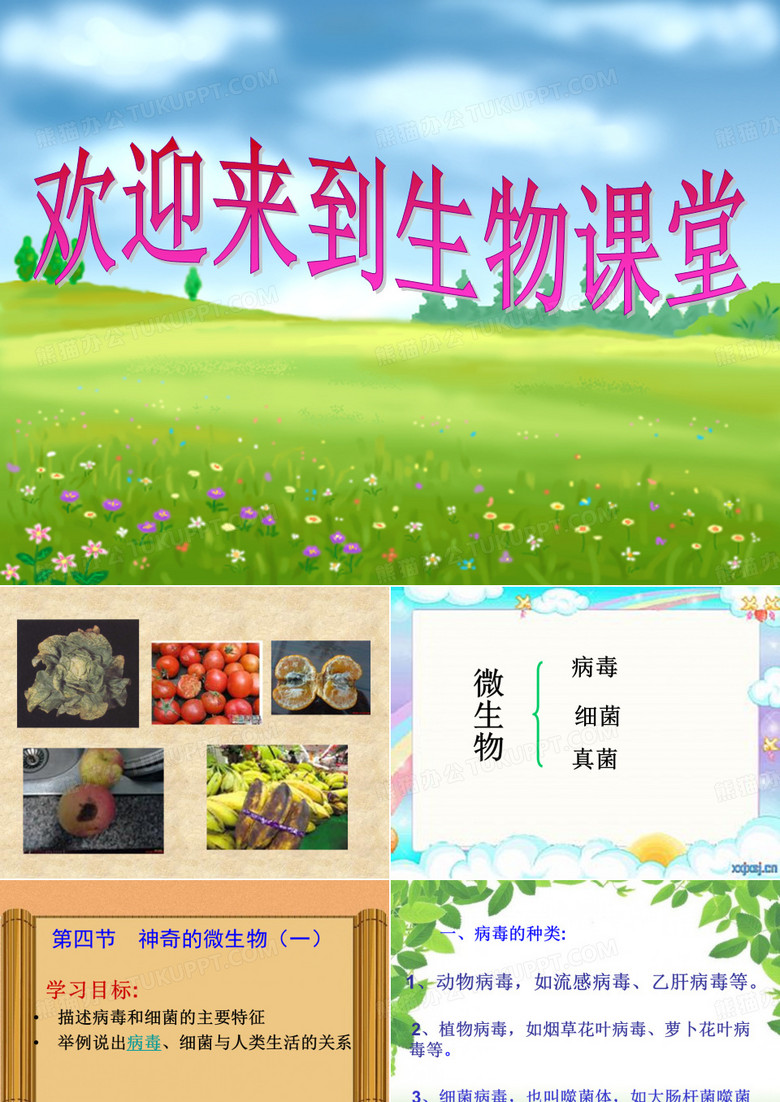 细菌和病毒