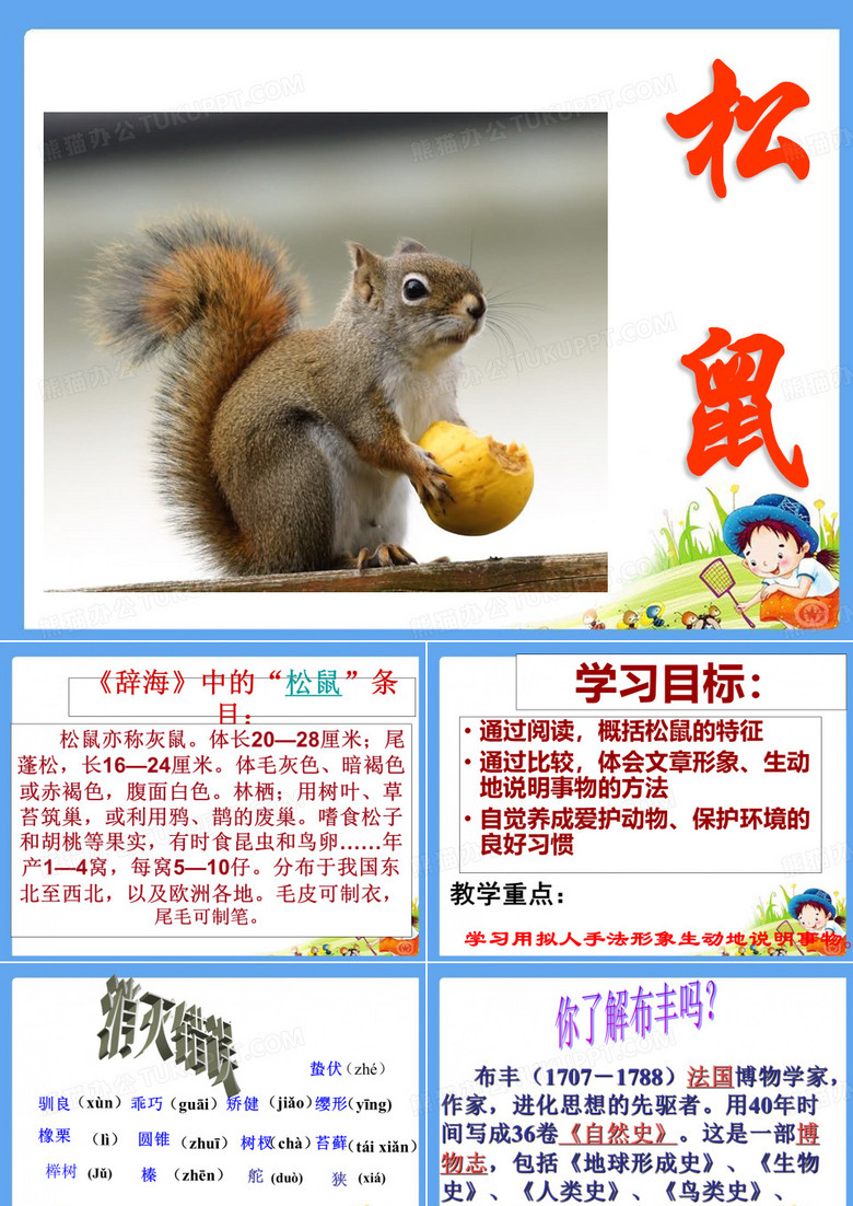 五年级上册语文松鼠
