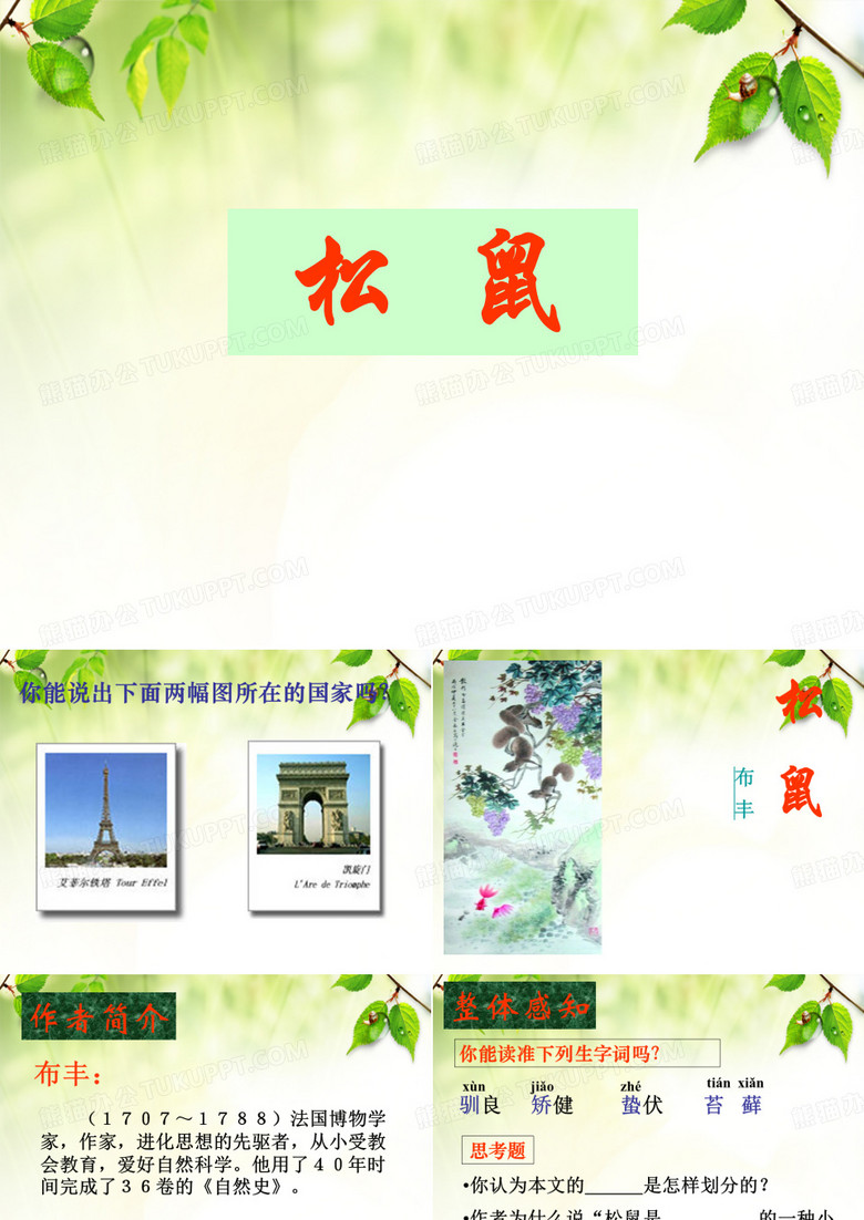 五年级上册《松鼠》ppt完美版