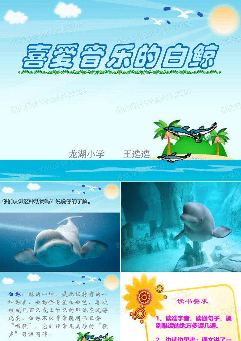 喜爱音乐的白鲸