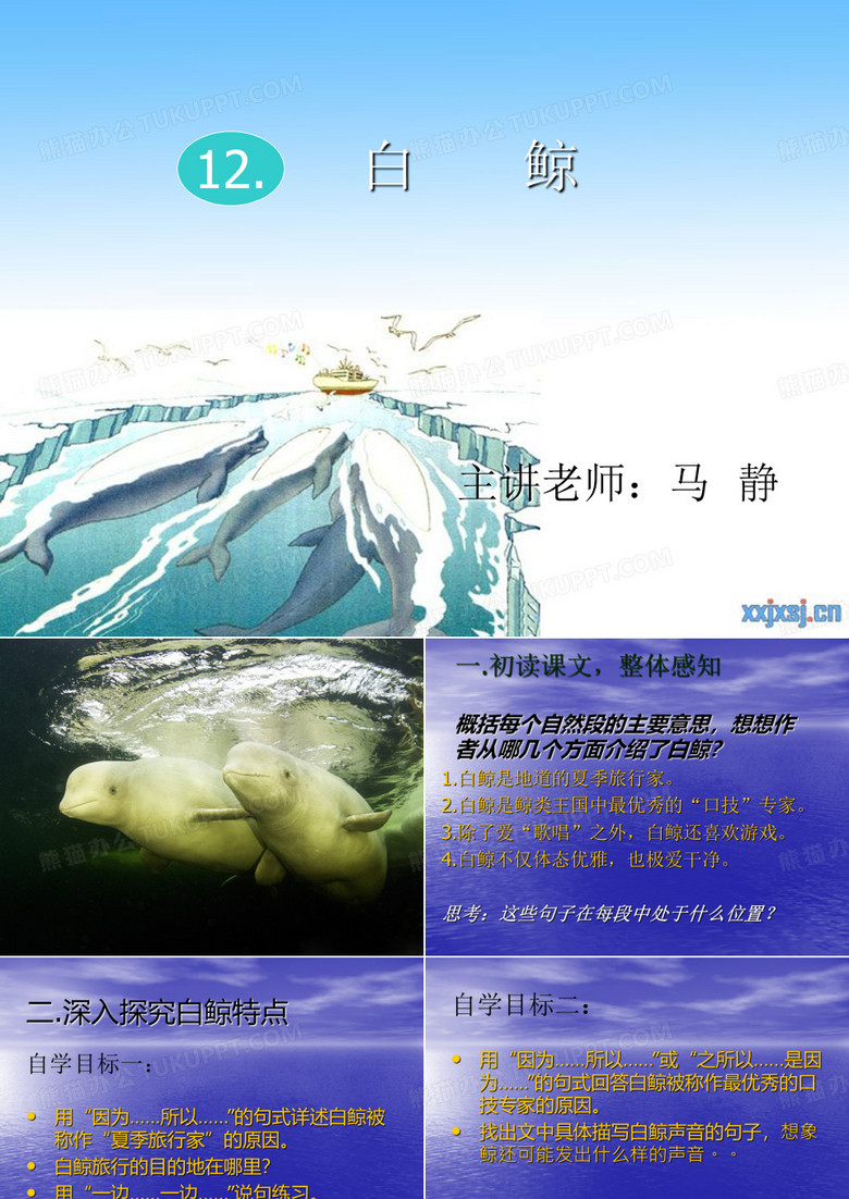 白鲸教学课件