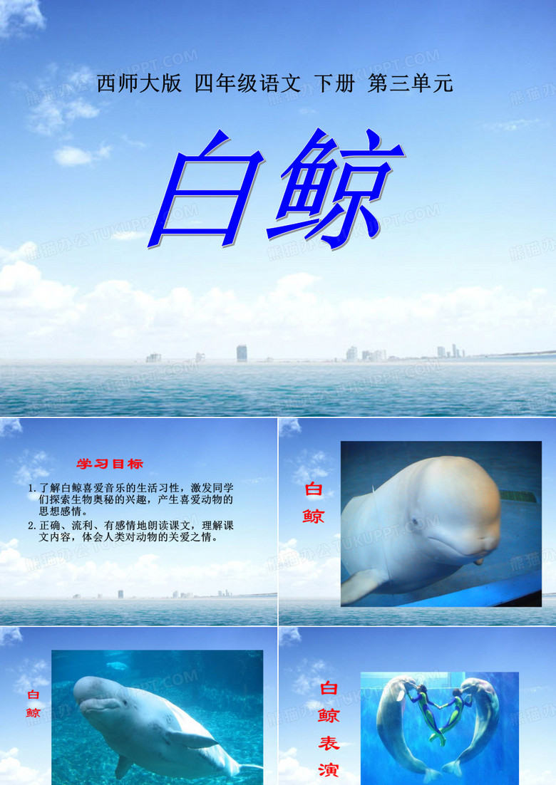 《白鲸》ppt课件