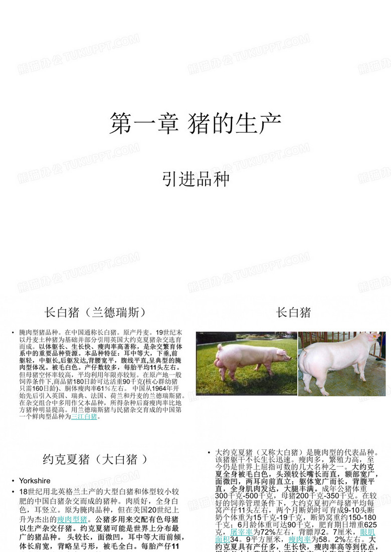 第一章 猪的生产 引进品种